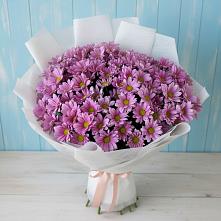 Букет цветов из:  Хризантемы в Донское Калининградской области