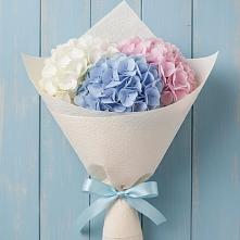 Букет цветов из:  Гортензия в Донское Калининградской области