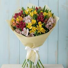 Букет цветов из:  Альстромерии в Донское Калининградской области