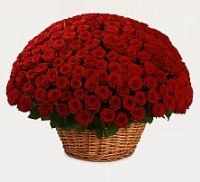 Премиум букет из: Розы в Донское Калининградской области