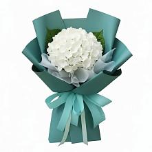 Букет цветов из:  Гортензия в Донское Калининградской области